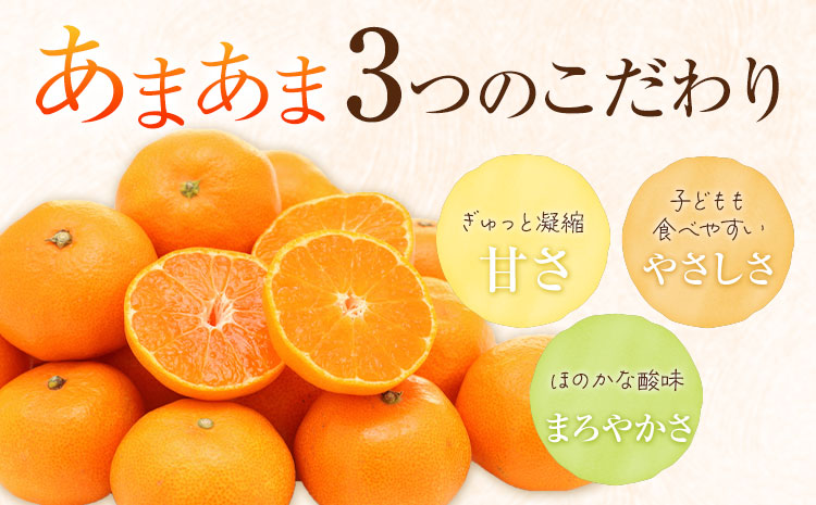 雨よけ完熟みかん「あまあま」選べる内容量 約2.2kg 正木久之《12月下旬-1月中旬》徳島県 佐那河内村 みかん ミカン 蜜柑 柑橘 箱入り 化粧箱 フルーツ 果物 くだもの 贈答【配送不可地域あり】※離島不可