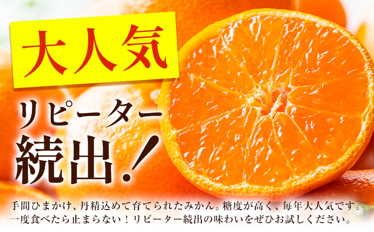 䞹粟蟌ããŠè²ãŠãŸããïŒãã«ãã¿ãããããŸãã 1ç®± 2.2kg ã11æäžæ¬-12ææ«é ã«åºè·äºå®(忥ç¥é€ã)ã åºç 蟲å ãé
éäžå¯å°åããã(é¢å³¶) ã¿ãã ãã«ã³ èæ æ©ç ææ© äœé£æ²³å
埳島ç ç®±å
¥ã åç²§ç®± S M L ãã«ãŒã æç© ãã ãã® èŽç é²ç©