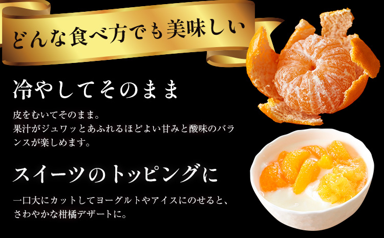 ＜先行予約＞ 蔵出し熟成みかん『極』1箱《2月中旬-2月末頃出荷予定》みかん ミカン 蜜柑 mikan 貯蔵 柑橘 佐那河内 さなごうち 徳島県 箱入り 化粧箱 S M L フルーツ 果物 くだもの 贈答 進物