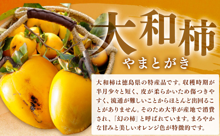 佐那河内村産 こだわりの大和柿 500g(真空パック) 山本清 《30日以内に出荷予定(土日祝除く)》│ 干し柿 干柿 柿 かき カキ フルーツ 果物 くだもの 農家直送 家庭用 秋の味覚 旬 徳島県 佐那河内村