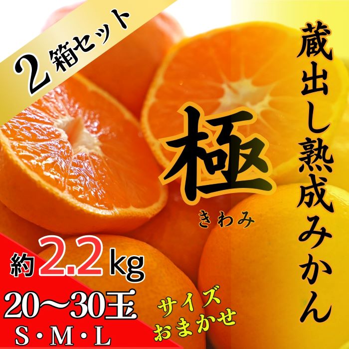 ２箱セット　蔵出し熟成みかん『極』　※2025年2月中旬頃から発送　※離島不可