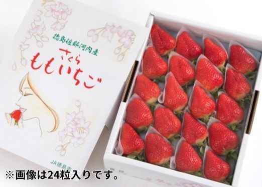 さくらももいちご(20粒または24粒入り化粧箱)　※2025年1月上旬頃から発送　※北海道・沖縄・離島への配送不可