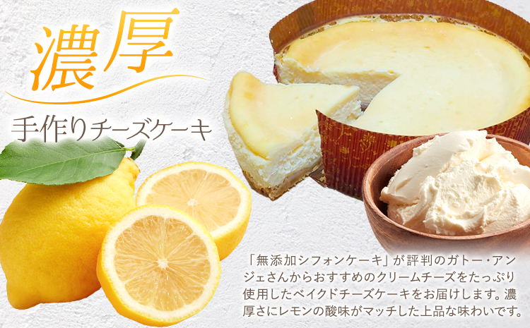 ã¯ãªãŒã ããŒãºãã£ã·ãïŒæ¿åãã€ã¯ãããŒãºã±ãŒã 1ããŒã«(çŽåŸçŽ17cm) ã¬ããŒã»ã¢ã³ãžã§ã30æ¥ä»¥å
ã«åºè·äºå®(忥ç¥é€ã)ã埳島ç äœé£æ²³å
æãé
éäžå¯å°åããã