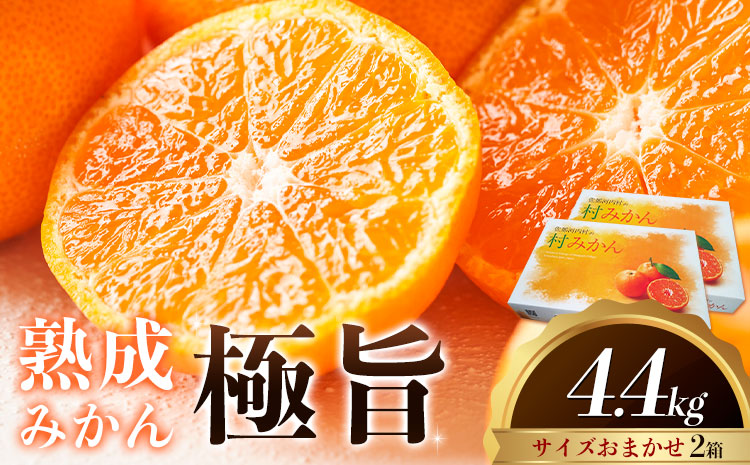 ＜先行予約＞ 熟成みかん『極旨』2箱 廣畠農園《2月初旬-2月末頃出荷予定》徳島県 佐那河内村 みかん ミカン 蜜柑 柑橘 箱入り 化粧箱 フルーツ 果物 くだもの 贈答 【配送不可地域あり】※離島