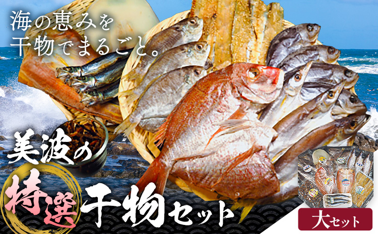 はまみや海産 美波 の 特選 干物セット 大セット《30日以内に出荷予定（土日祝除く）》徳島県 佐那河内村 干物 ひもの みりん干し 一夜干し