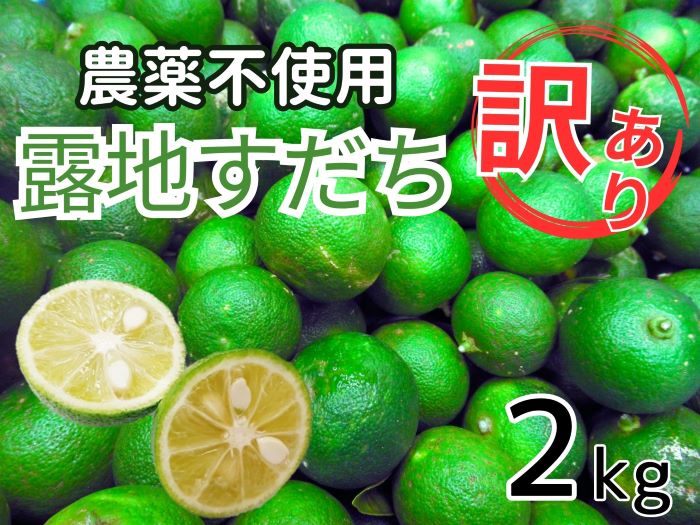 訳あり【Ｂ級】露地スダチ2kg　※9月頃から発送　※離島不可　