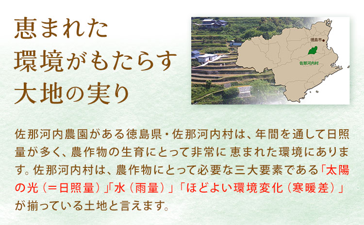 すだち発泡入浴料 15袋入り さくらサービス株式会社 《30日以内に出荷予定(土日祝除く)》| 入浴剤 炭酸 ご当地入浴剤 徳島県 佐那河内村