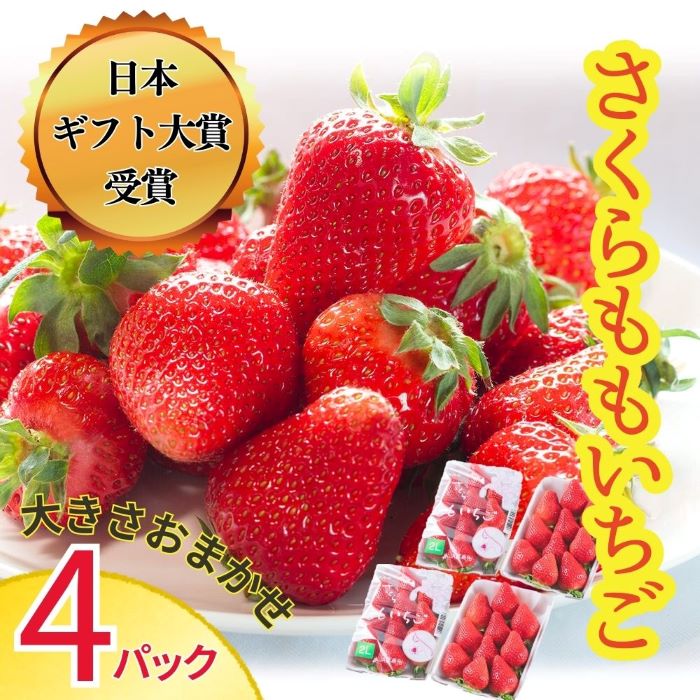 さくらももいちご (4パック入り)　※2025年1月上旬頃から発送　※北海道・沖縄・離島への配送不可