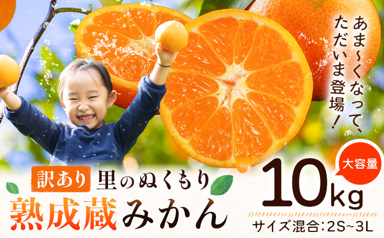 èš³ãã çæã¿ãã 10kg ã1æäžæ¬-3æäžæ¬é åºè·ã埳島 ææ© ãã«ã³ èæ ãã«ãŒã éæç© 倧容é 埳島ç äœé£æ²³å
æ