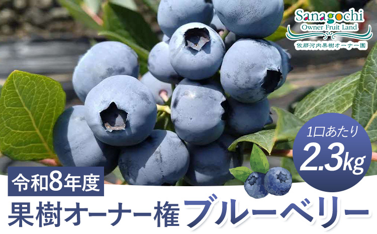 令和8年度果樹オーナー権（ブルーベリー）