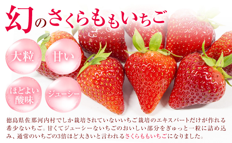 ããããããã¡ãã®ããã ã±ãŒã ããŒã«ã±ãŒã æŽèå èº ãã¡ã 1æ¬ çŠå± ç壜ã®é·ã12æäžæ¬-2ææ«é åºè·ã埳島ç äœé£æ²³å
æ éæç¡æ èå èºã±ãŒã ãã¶ãŒã ããããããã¡ããé
éäžå¯å°åããã(åæµ·éã»æ±åã»æ²çžã»é¢å³¶)