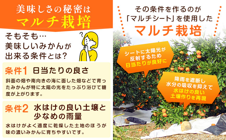 䞹粟蟌ããŠè²ãŠãŸããïŒãã«ãã¿ãããããŸãã 2ç®± 4.4kg ã11æäžæ¬-12ææ«é ã«åºè·äºå®(忥ç¥é€ã)ã åºç 蟲å ãé
éäžå¯å°åããã(é¢å³¶) ã¿ãã ãã«ã³ èæ æ©ç ææ© äœé£æ²³å
埳島ç ç®±å
¥ã åç²§ç®± S M L ãã«ãŒã æç© ãã ãã® èŽç é²ç©