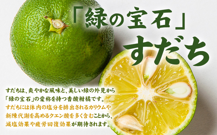 縺吶□縺。繝ッ繧、繝ウ繧ケ繝励Μ繝繝繧。繝シ 250mlテ12譛ャ蜈・繧 1繧ア繝シ繧ケ 荳闊ャ雋。蝗」豕穂ココ縺輔↑縺斐≧縺。 縲30譌・莉・蜀縺ォ蜃コ闕キ莠亥ョ(蝨滓律逾晞勁縺)縲銀狽 縺吶□縺。 繧ケ繝繝 繝ッ繧、繝ウ 繝ッ繧、繝ウ繧ケ繝励Μ繝繝繧。繝シ 縺企 驟 縺泌ス灘慍鬟イ譁 蠕ウ蟲カ逵 菴宣ぅ豐ウ蜀譚