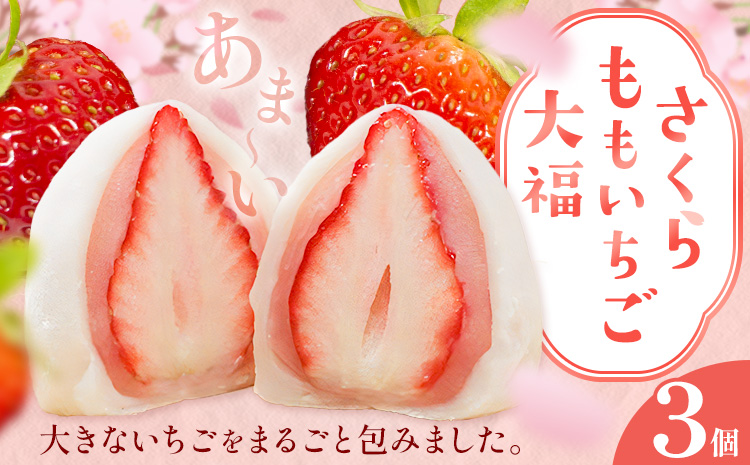 大福 和菓子 さくらももいちご大福 苺大福 いちご大福 3個 福屋 盛壽の郷《12月下旬-2月末頃出荷》徳島県 佐那河内村 送料無料 菓子 苺 デザート お取り寄せスイーツ さくらももいちご【配送不可地域あり】(北海道・東北・沖縄・離島)
