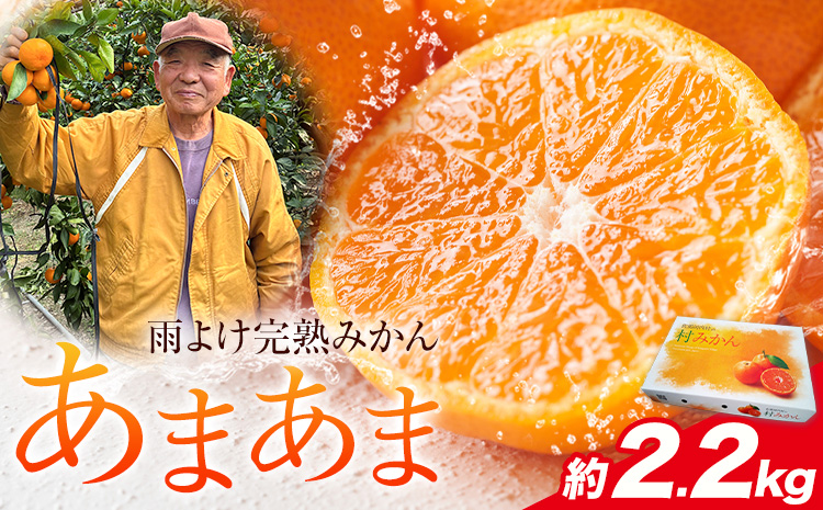 雨よけ完熟みかん「あまあま」選べる内容量 約2.2kg 正木久之[12月下旬-1月中旬]徳島県 佐那河内村 みかん ミカン 蜜柑 柑橘 箱入り 化粧箱 フルーツ 果物 くだもの 贈答[配送不可地域あり]※離島不可