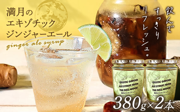 満月のエキゾチックジンジャエール 320ml×2瓶セット 濃縮タイプ 1瓶約７～8杯分 TABEL株式会社《30日以内に出荷予定(土日祝除く)》 │ ジンジャーエール 炭酸割り ジンジャー シロップ ドリンク ソフトドリンク 飲み物 飲料 お取り寄せ 徳島県 佐那河内村