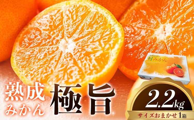 ＜先行予約＞ 熟成みかん『極旨』1箱 廣畠農園《2月初旬-2月末頃出荷予定》徳島県 佐那河内村 みかん ミカン 蜜柑 柑橘 箱入り 化粧箱 フルーツ 果物 くだもの 贈答 【配送不可地域あり】※離島