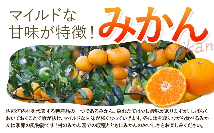 什å8å¹ŽåºŠææš¹ãªãŒããŒæš©ïŒã¿ããïŒ