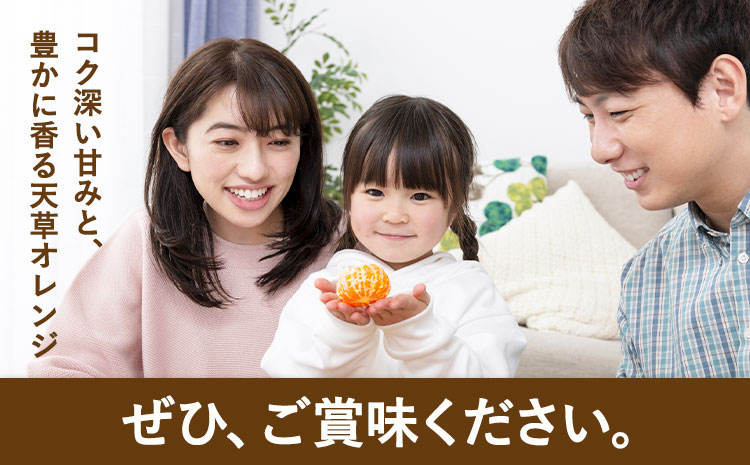 ハウス追熟 天草オレンジ 4玉～9玉入 廣畠農園《1月中旬頃出荷予定》徳島県 佐那河内村 みかん ミカン 蜜柑 柑橘 フルーツ 果物 くだもの【配送不可地域あり】※離島