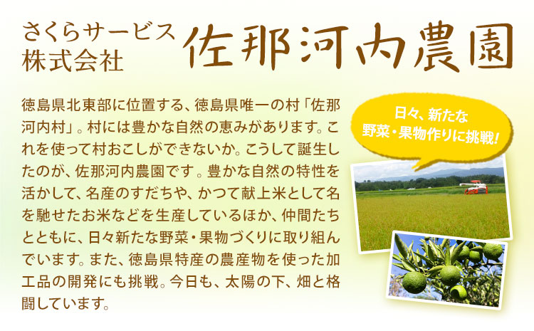 すだち発泡入浴料 15袋入り さくらサービス株式会社 《30日以内に出荷予定(土日祝除く)》| 入浴剤 炭酸 ご当地入浴剤 徳島県 佐那河内村