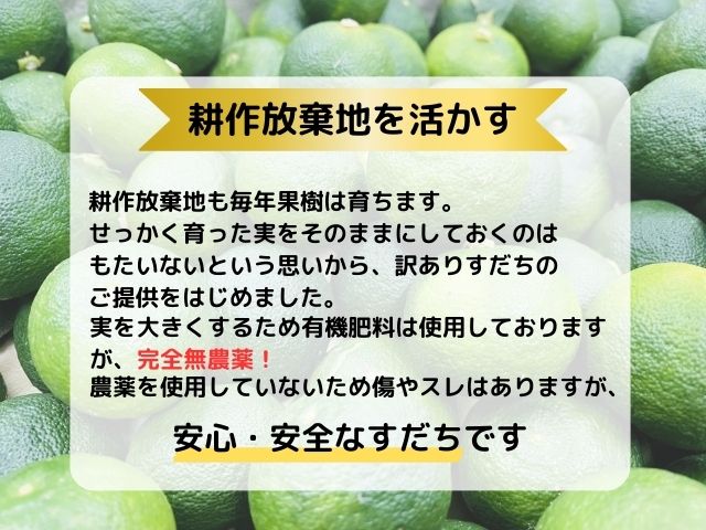 訳あり【Ｂ級】露地スダチ　500g　※9月頃から発送　※離島不可