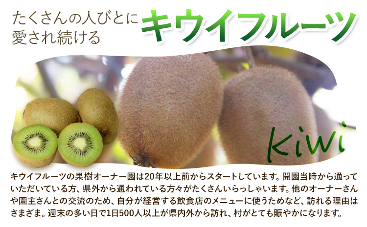 莉、蜥8蟷エ蠎ヲ譫懈ィケ繧ェ繝シ繝翫シ讓ゥシ医く繧ヲ繧、シ