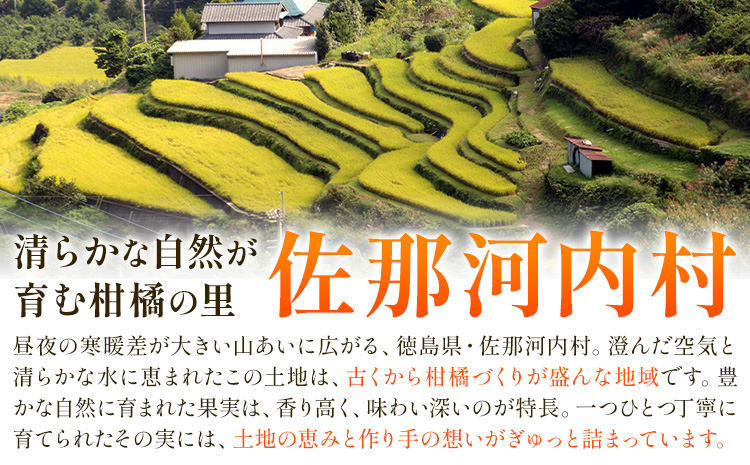 ãã èš³ãã æå çŽ1.5kg ã11æäžæ¬-12æäžæ¬é çºéã埳島ç äœé£æ²³å
æ ãã ææ© ãã«ãŒã æ¬ãé
éäžå¯å°åãããâ»é¢å³¶