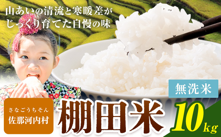 【先行予約】清流と寒暖差が生む村自慢の棚田米 無洗米 10kg《2026年11月以降順次出荷》 米