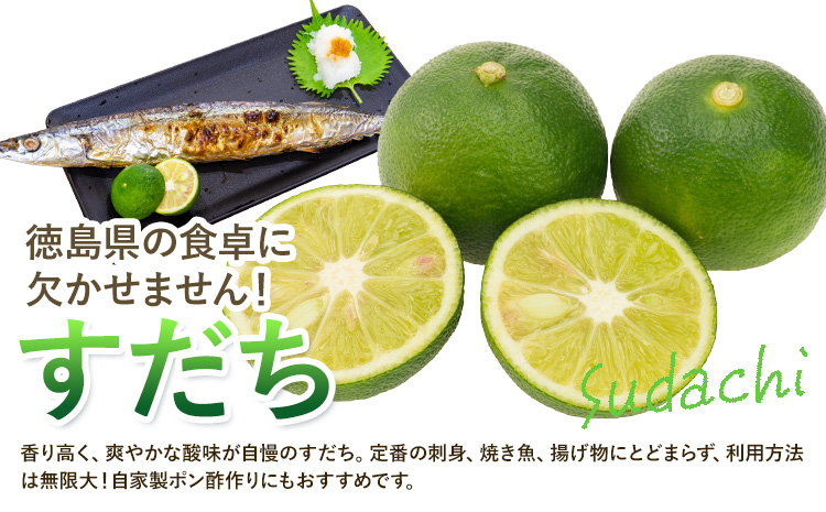 什å8å¹ŽåºŠææš¹ãªãŒããŒæš©ïŒãã ã¡ïŒ