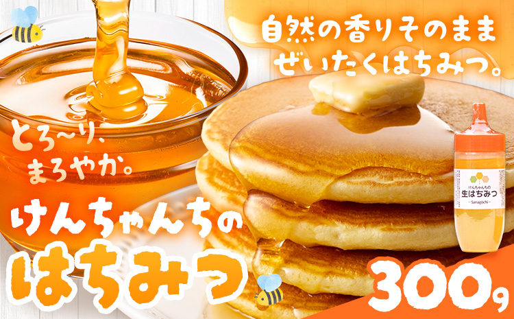 けんちゃんちのはちみつ 300g《30日以内に出荷予定（土日祝除く）》| ふるさと納税 はちみつ ハチミツ 蜂蜜 国産蜂蜜 天然蜜蜂 徳島県 佐那河内村 送料無料