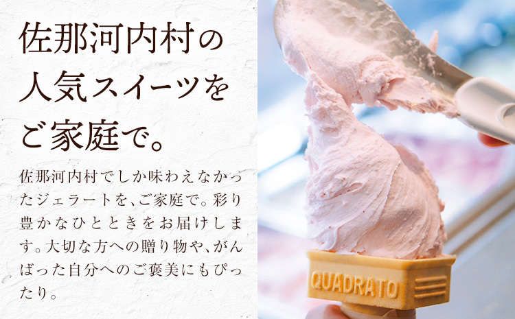 ジェラート アイス スイーツ SANAGOCHI GELATO 6個 株式会社クリスティーヌ 《30日以内に出荷(土日祝除く)》 徳島県 佐那河内村 お菓子 ご褒美 プレゼント いちご チョコ ピスタチオ ミルク 【配送不可地域あり】(離島)