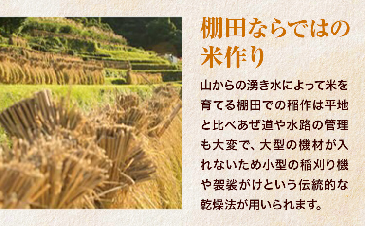 【先行予約】清流と寒暖差が生む村自慢の「棚田米」精米 5kg《2026年11月以降順次出荷》徳島県 佐那河内村 棚田米 米 白米