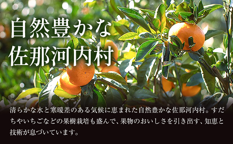 ＜先行予約＞ 蔵出し熟成みかん『極』1箱《2月中旬-2月末頃出荷予定》みかん ミカン 蜜柑 mikan 貯蔵 柑橘 佐那河内 さなごうち 徳島県 箱入り 化粧箱 S M L フルーツ 果物 くだもの 贈答 進物