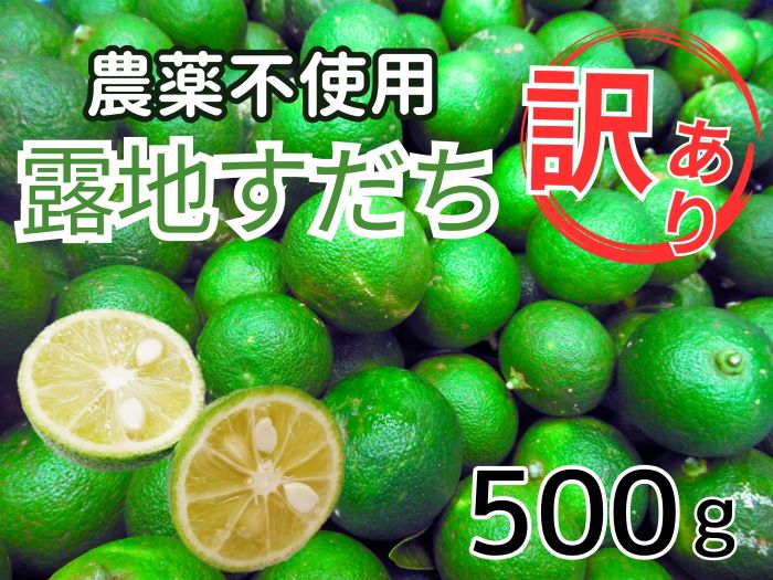 訳あり【Ｂ級】露地スダチ　500g　※9月頃から発送　※離島不可