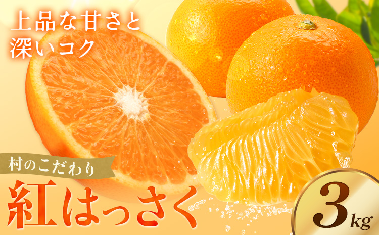 八朔 紅八朔 村のこだわり 紅はっさく 約3kg 山口允張《1月中旬-2月中旬頃出荷》 徳島県 佐那河内村 送料無料 柑橘類 柑橘 果物 フルーツ はっさく べにはっさく お取り寄せフルーツ【配送不可地域あり】※離島不可