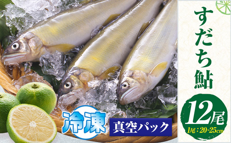 すだち鮎 12尾 冷凍 有限会社岩崎商店 《30日以内に出荷予定(土日祝除く)》│1尾あたり20～25cm 徳島県産 あゆ アユ 魚 魚介 川魚 塩焼き 甘露煮 徳島県 佐那河内村