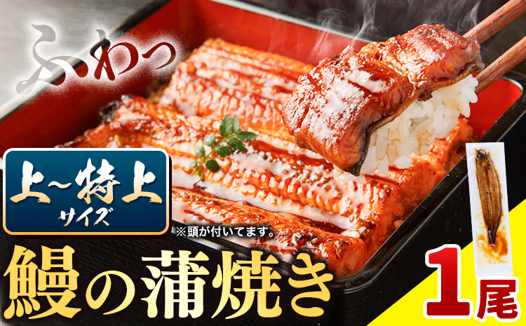 国内産 鰻の蒲焼き 徳島県産 うなぎの蒲焼き 1尾 タレ・山椒付《30日以内に出荷予定(土日祝除く)》うなぎの蒲焼き うなぎ 鰻 蒲焼 蒲焼き ウナギの蒲焼 徳島県産