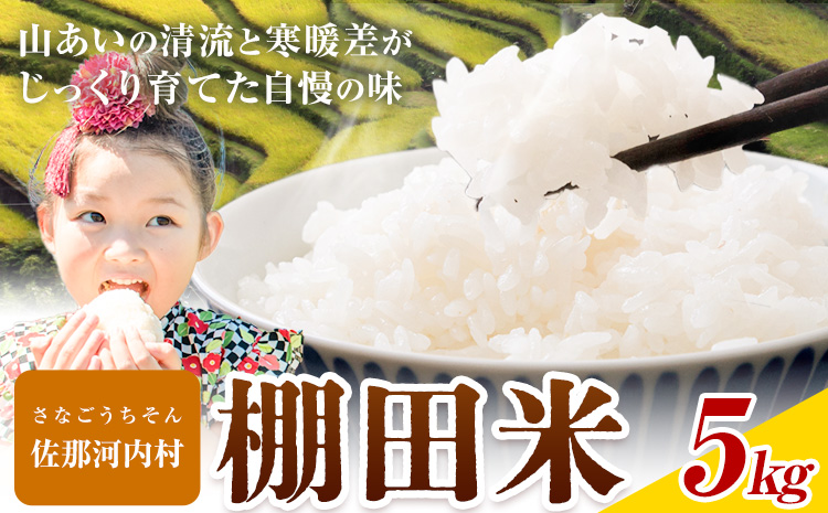 《年内出荷対応》清流と寒暖差が生む村自慢の棚田米 精米 5kg《7-14営業日以内に出荷》徳島県 佐那河内村 お米 米 白米 送料無料 