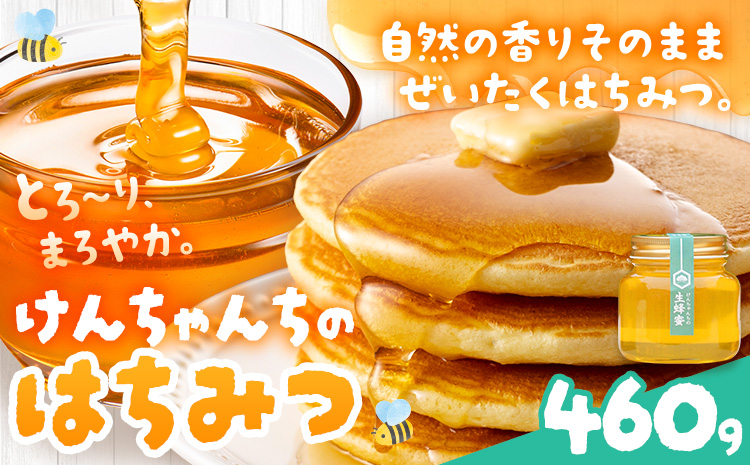 けんちゃんちのはちみつ 460g《30日以内に出荷予定（土日祝除く）》| ふるさと納税 はちみつ ハチミツ 蜂蜜 国産蜂蜜 天然蜜蜂 徳島県 佐那河内村 送料無料