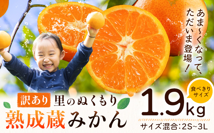 訳あり 熟成みかん 1.9kg 《1月上旬-3月上旬頃出荷》徳島 柑橘 ミカン 蜜柑 フルーツ 青果物 お試し 徳島県 佐那河内村