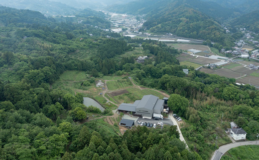 山神果樹薬草園　柑橘リキュールすだち9％　500ml