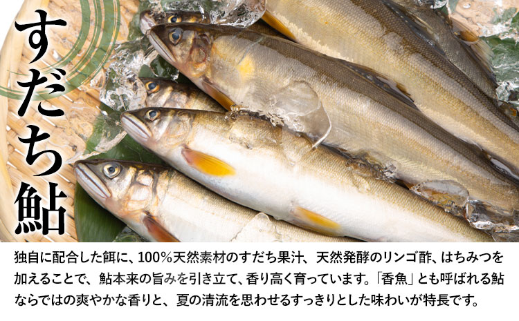 縺吶□縺。魄 12蟆セ 蜀キ蜃 譛蛾剞莨夂、セ蟯ゥ蟠主膚蠎 縲30譌・莉・蜀縺ォ蜃コ闕キ莠亥ョ(蝨滓律逾晞勁縺)縲銀狽1蟆セ縺ゅ◆繧20ス25cm 蠕ウ蟲カ逵檎肇 縺ゅf 繧「繝ヲ 鬲 鬲壻サ 蟾晞ュ 蝪ゥ辟シ縺 逕倬愆辣ョ 蠕ウ蟲カ逵 菴宣ぅ豐ウ蜀譚