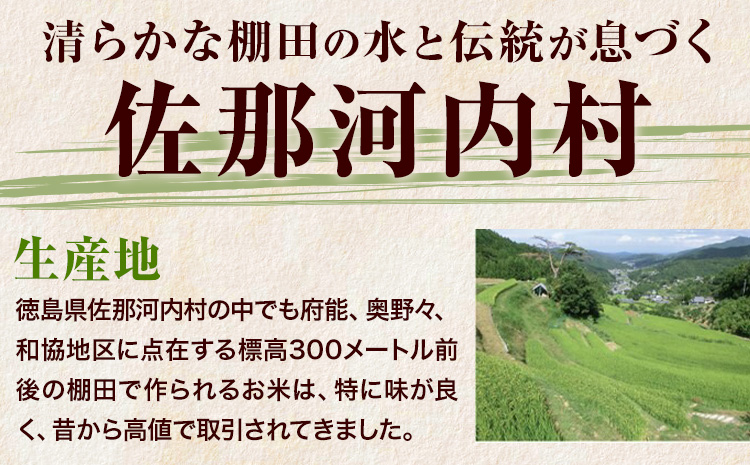 【先行予約】清流と寒暖差が生む村自慢の「棚田米」精米 5kg《2026年11月以降順次出荷》徳島県 佐那河内村 棚田米 米 白米