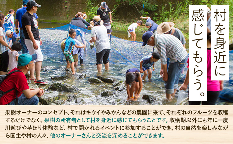 什å8å¹ŽåºŠææš¹ãªãŒããŒæš©ïŒã¿ããïŒ