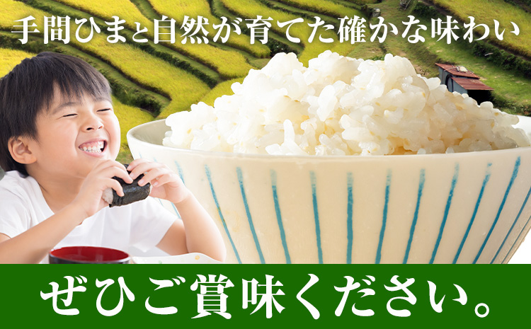 【先行予約】清流と寒暖差が生む村自慢の「棚田米」精米 10kg《2026年11月以降順次出荷》徳島県 佐那河内村 棚田米 米 白米