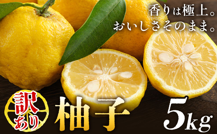 ゆず 訳あり 柚子 約5kg 《11月中旬-1月中旬頃発送》徳島県 佐那河内村 ゆず 柑橘 フルーツ 旬【配送不可地域あり】※離島