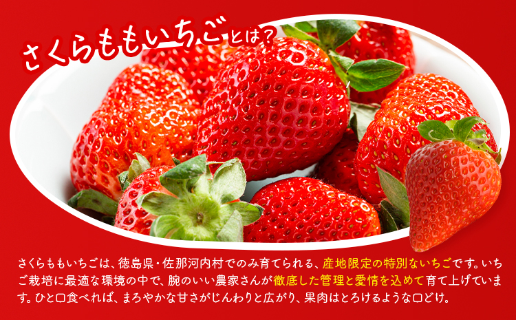 いちご 佐那河内村限定 さくらももいちご 4パック入り JA徳島市佐那河内支所 ふる里産品推進協議会《1月上旬-3月末頃に出荷(土日祝除く)》徳島県 佐那河内村【配送不可地域あり】※離島 | ブランドいちご 産地直送 ギフト大賞 ジューシー---sanagouchi_hss_6_4p---　s-3