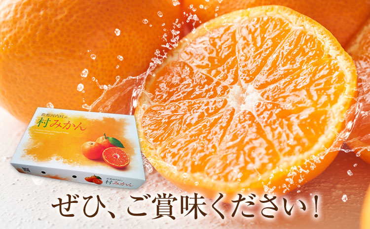 雨よけ完熟みかん「あまあま」選べる内容量 約2.2kg 正木久之《12月下旬-1月中旬》徳島県 佐那河内村 みかん ミカン 蜜柑 柑橘 箱入り 化粧箱 フルーツ 果物 くだもの 贈答【配送不可地域あり】※離島不可