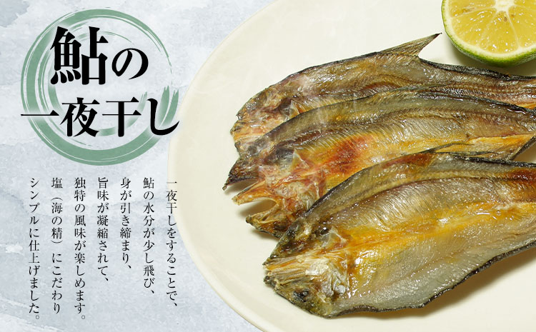 すだち鮎一夜干し 20~25cm×5枚 冷凍 有限会社岩崎商店 《30日以内に出荷予定(土日祝除く)》│ 徳島県産 あゆ アユ 魚 魚介 川魚 塩焼き 甘露煮 徳島県 佐那河内村