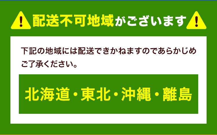 リピーター続出！ふわっふわのシフォンケーキ（クルミ）【配送不可地域あり】※東北・北海道・沖縄・離島 ガトー・アンジェ 《30日以内に出荷予定(土日祝除く)》| ケーキ 洋菓子 ホール デザート お取り寄せ 手土産 プレゼント 冷蔵 徳島県 佐那河内村